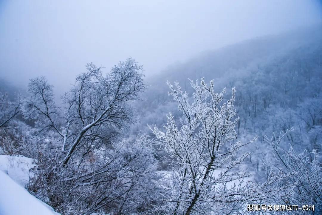 虫虫助手下载