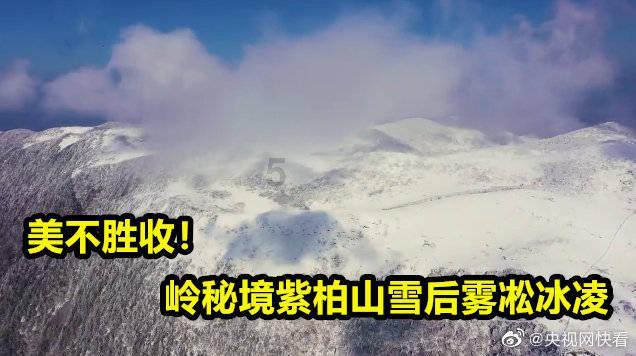 冰火人魔法森林大冒险2