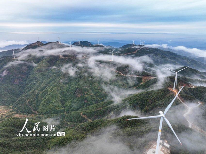 植物大战僵尸10
