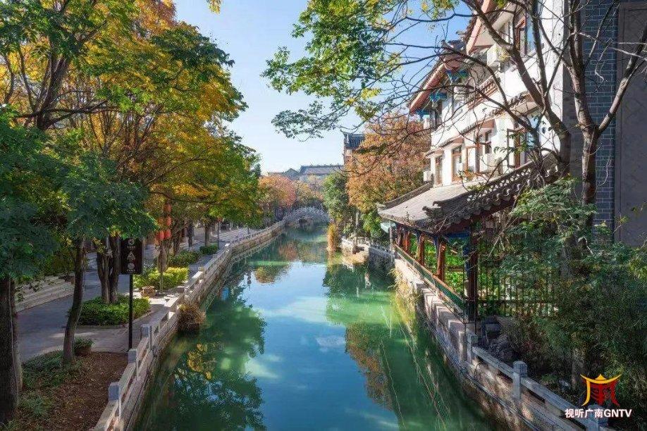 突发性脱发|从斑秃到发量王者的自救之路
